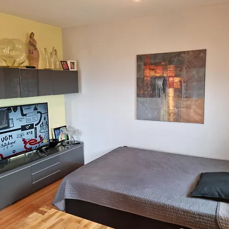 House Panorama 博德森特克