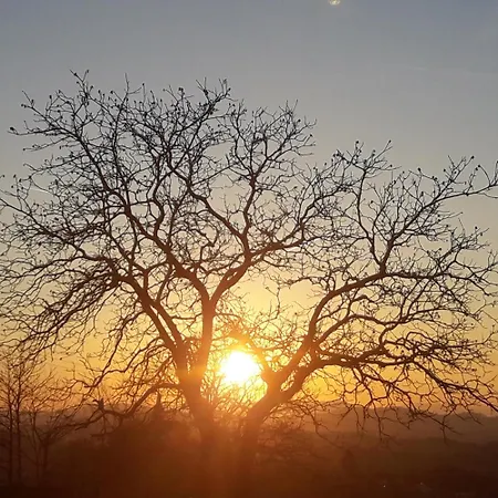 House Panorama 公寓 博德森特克