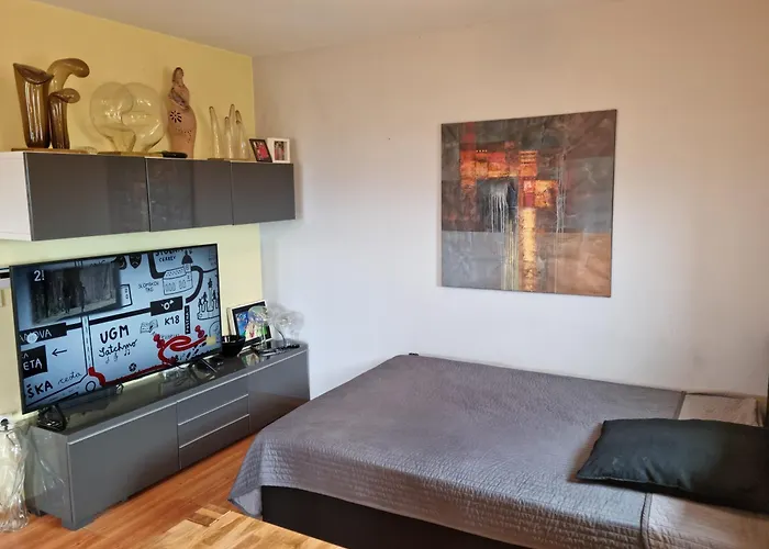 House Panorama بوتْشيترتيك